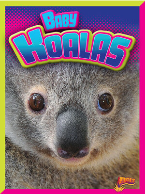 cover image of Baby Koalas